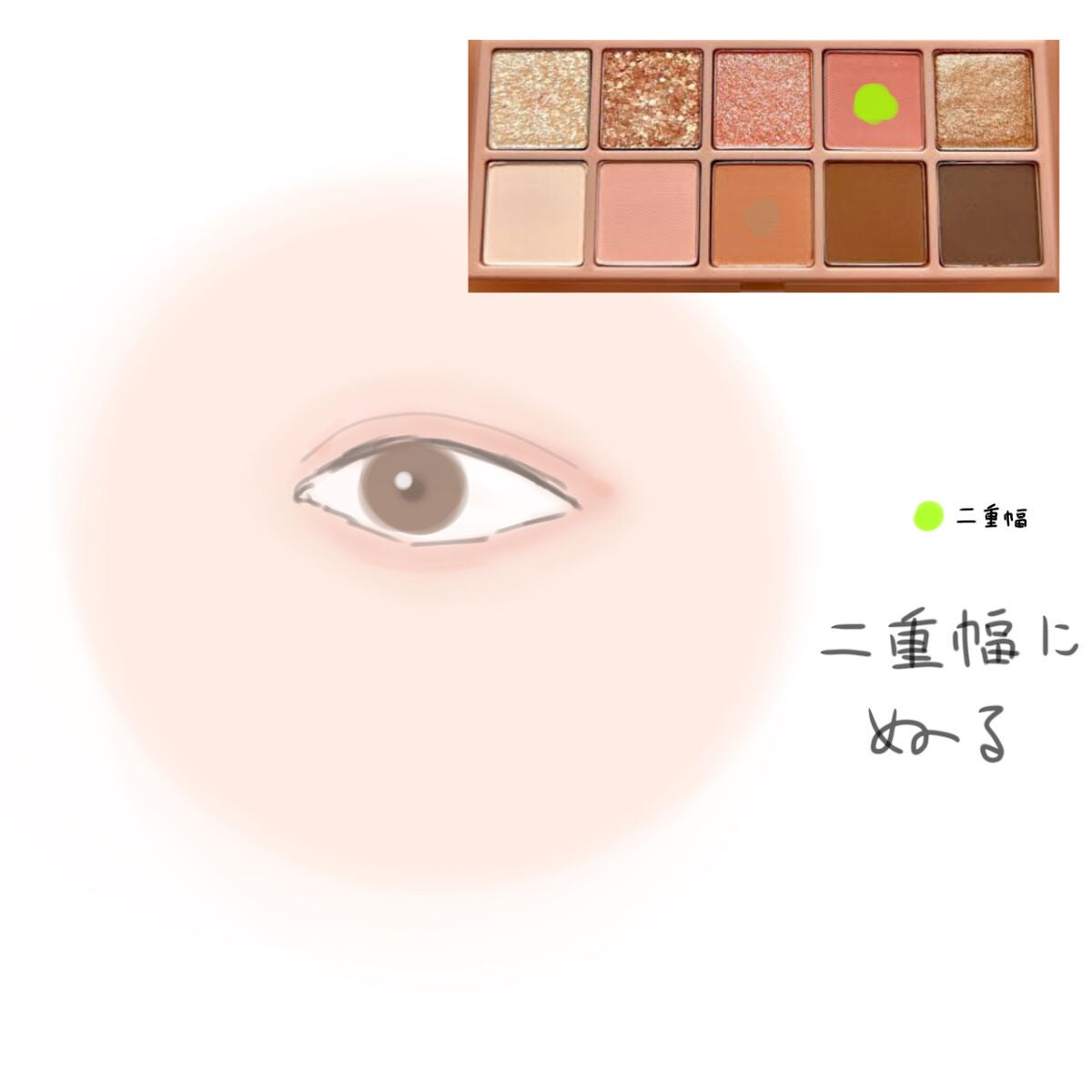 エバーカラーワンデー ナチュラル/エバーカラー/ワンデー(1DAY)カラコンを使ったクチコミ(5枚目)