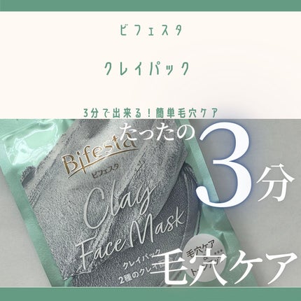 クレイパック/ビフェスタ/洗い流すパック・マスクを使ったクチコミ(1枚目)