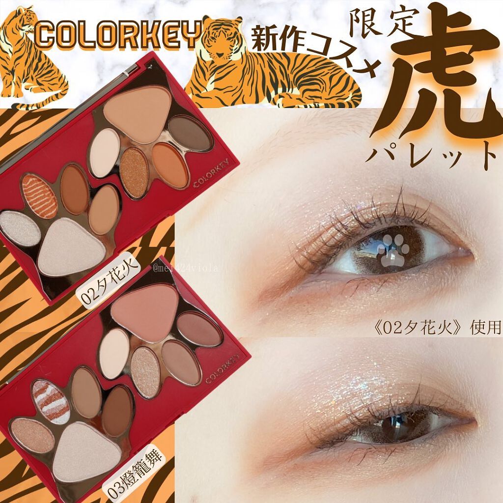 トラ十色アイシャドウパレット/COLORKEY/アイシャドウパレットを使ったクチコミ（1枚目）