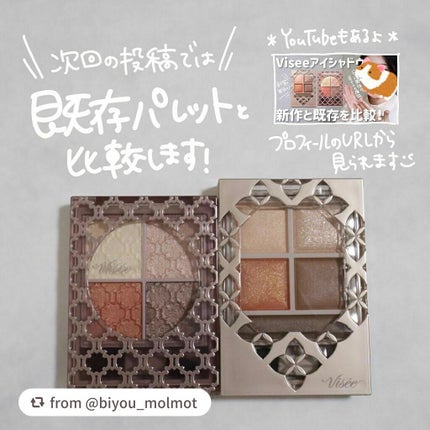 パノラマデザイン アイパレット/Visée/アイシャドウパレットを使ったクチコミ(9枚目)