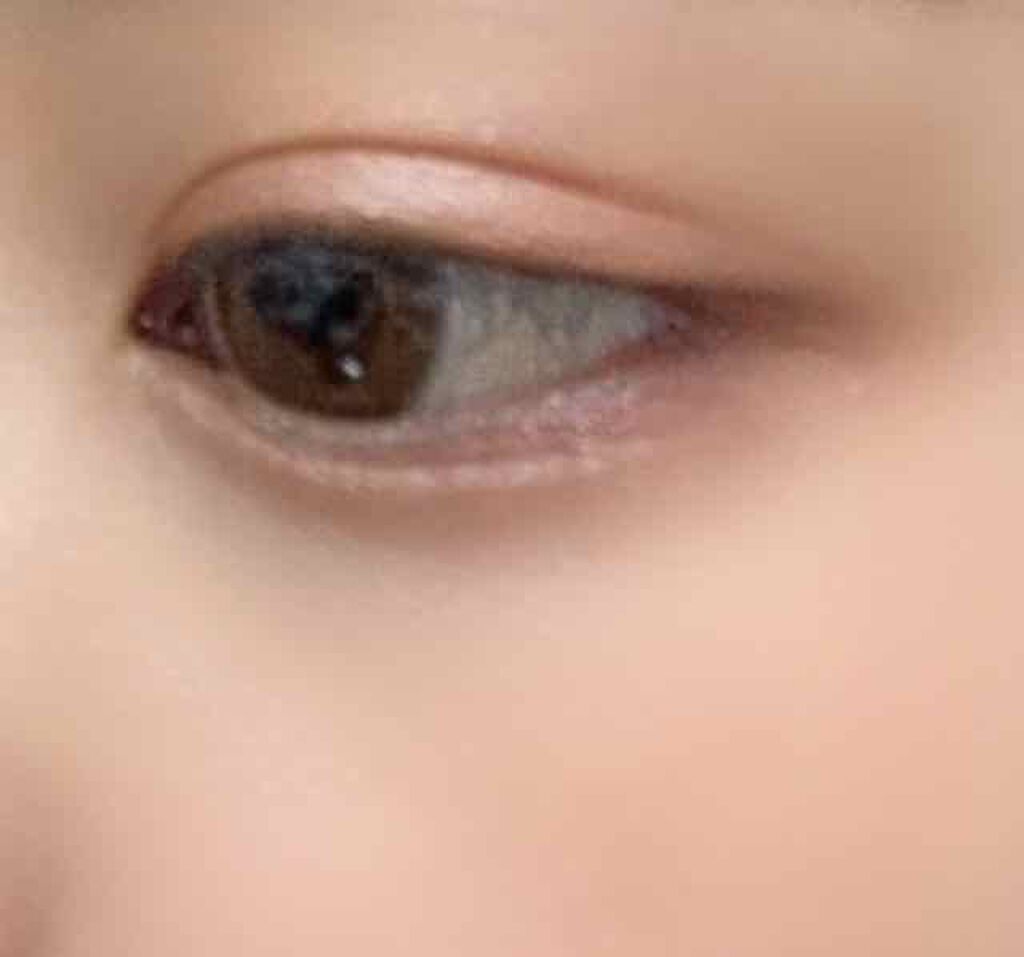 UR GLAM BLOOMING EYE COLOR PALETTE/U R GLAM/アイシャドウパレットを使ったクチコミ(2枚目)