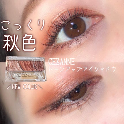 トーンアップアイシャドウ/CEZANNE/アイシャドウパレットを使ったクチコミ(1枚目)