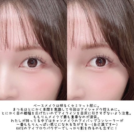 「密着アイライナー」しなやか筆リキッド/デジャヴュ/リキッドアイライナーを使ったクチコミ(2枚目)