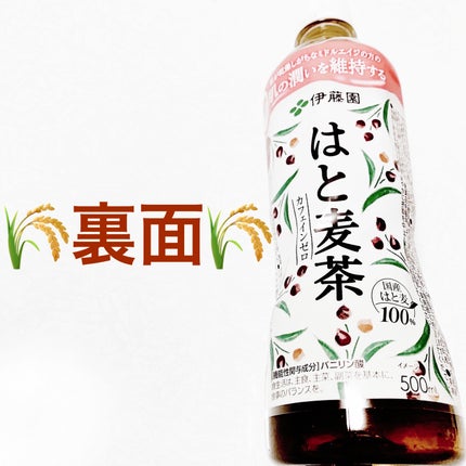 はと麦茶/伊藤園/ドリンクを使ったクチコミ(2枚目)