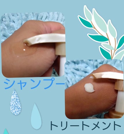 シャンプー/トリートメント SR/CLAYGE/市販シャンプーを使ったクチコミ(2枚目)