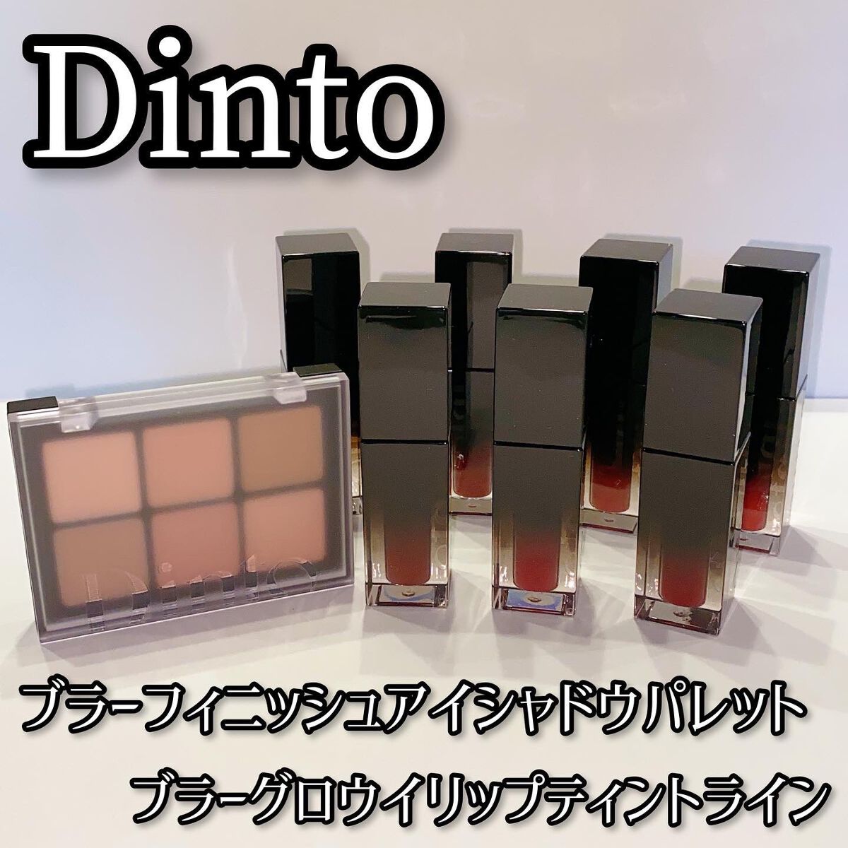 ブラーフィニシュシャドウパレット/Dinto/アイシャドウパレットを使ったクチコミ（1枚目）