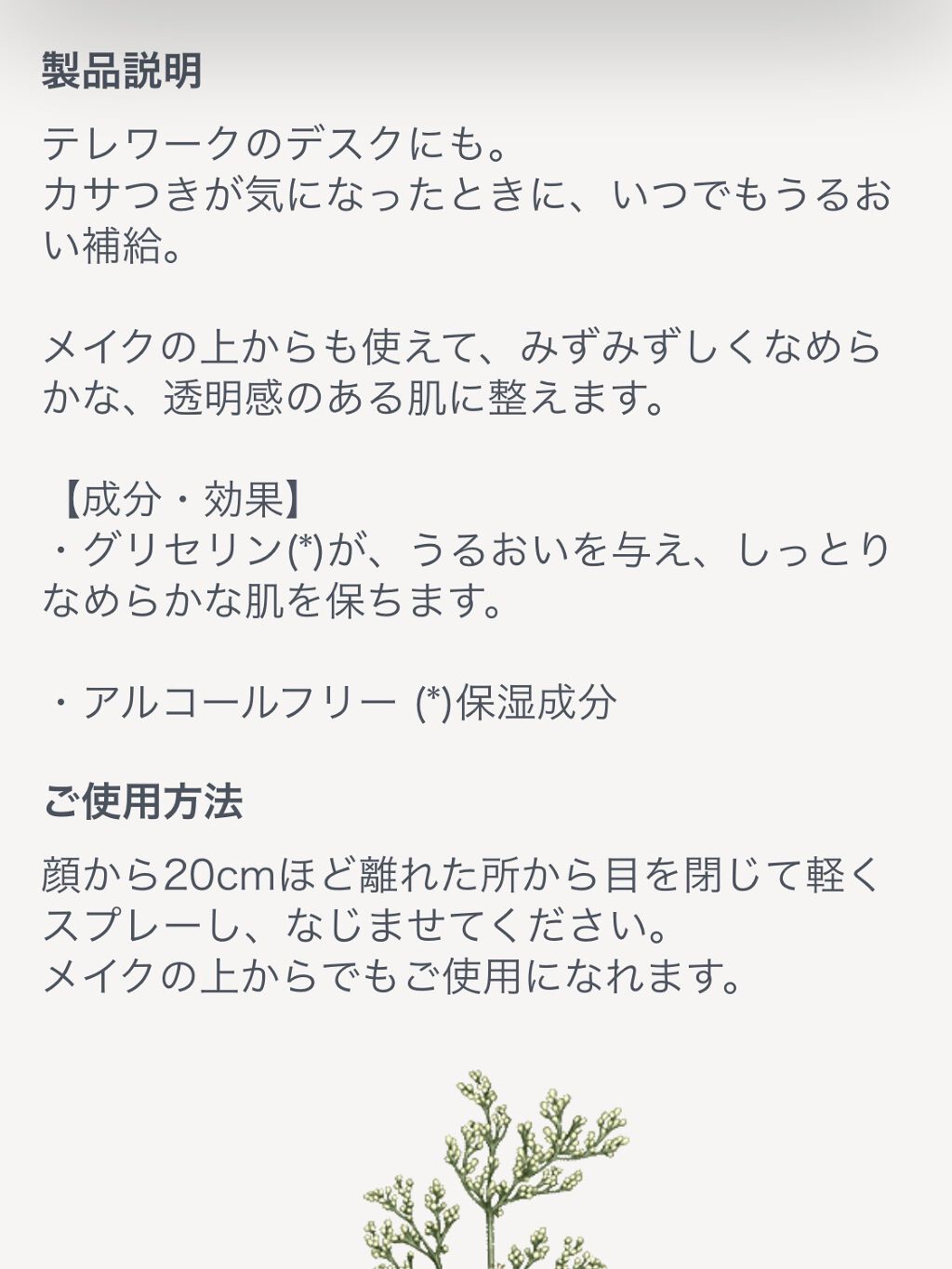 レーヌブランシュ ブライトフェイスミスト/L'OCCITANE/ミスト状化粧水を使ったクチコミ（3枚目）