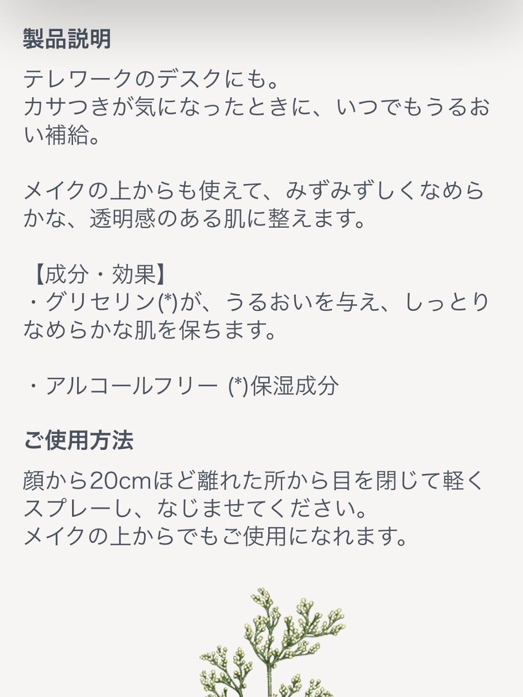 レーヌブランシュ ブライトフェイスミスト/L'OCCITANE/ミスト状化粧水を使ったクチコミ(3枚目)