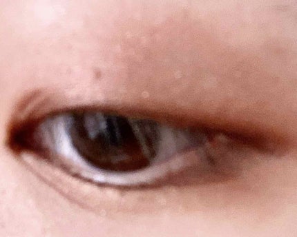 トーンアップアイシャドウ/CEZANNE/アイシャドウパレットを使ったクチコミ(2枚目)