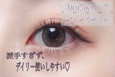 MOLAK 1day ダズルグレー/MOLAK/ワンデー（１DAY）カラコンを使ったクチコミ（1枚目）