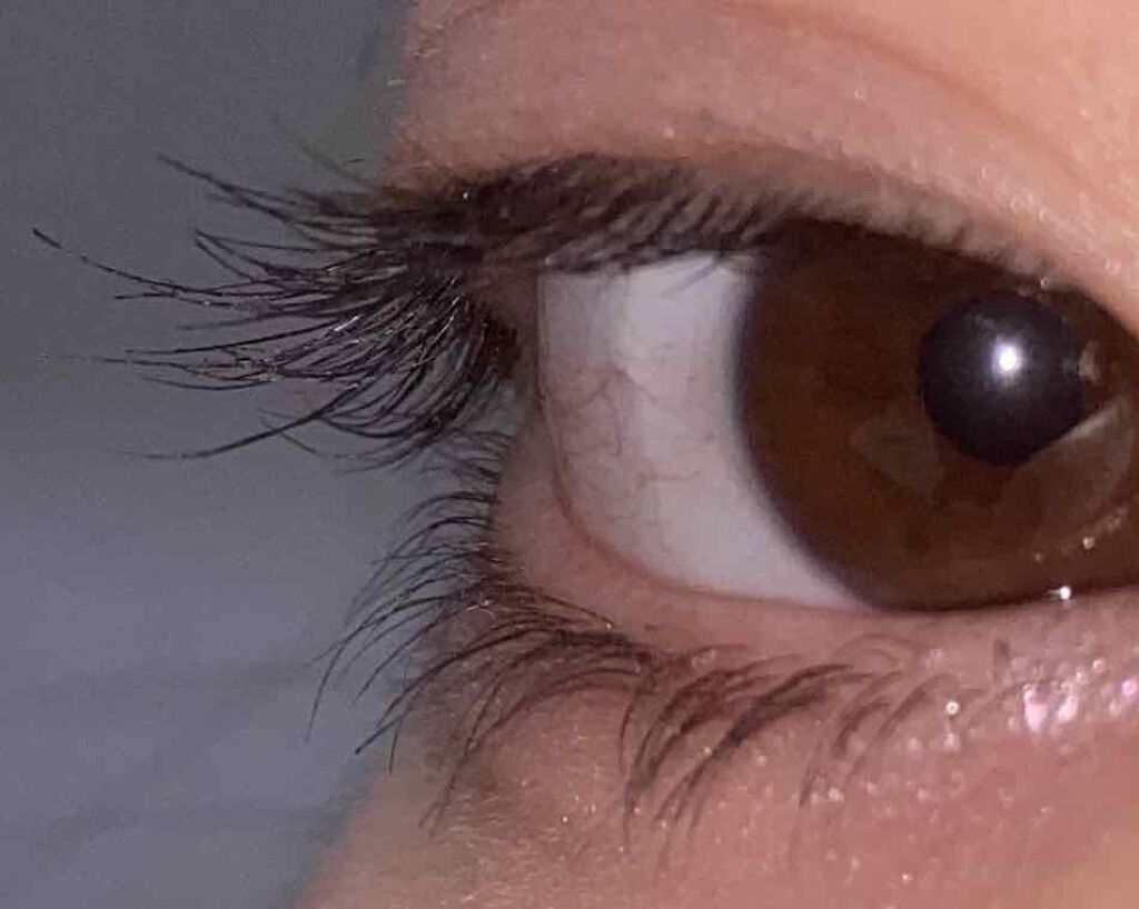 EMAKED(エマーキット)/水橋保寿堂製薬/まつげ美容液を使ったクチコミ(3枚目)