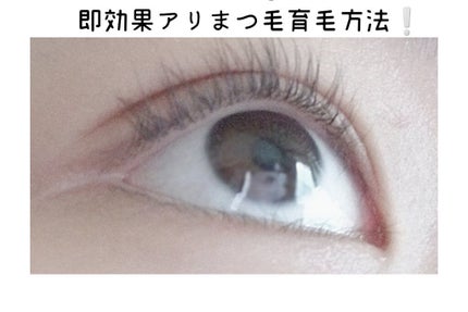 ãŸã€ãçŸå®¹æ¶²EX/CEZANNE/ãŸã€ãçŸå®¹æ¶²ã䜿ã£ãã¯ãã³ãïŒ1æç®ïŒ