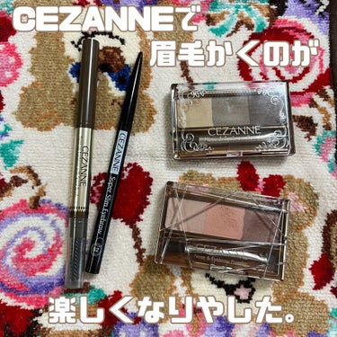 ノーズ＆アイブロウパウダー/CEZANNE/パウダーアイブロウを使ったクチコミ（1枚目）