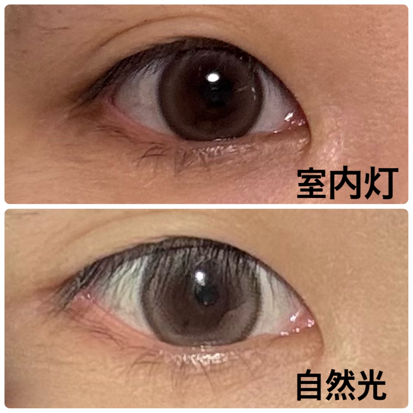 甘 on LIPS 「melotte(メロット)ダーリンフィグ1箱10枚入り¥1,7..」(2枚目)