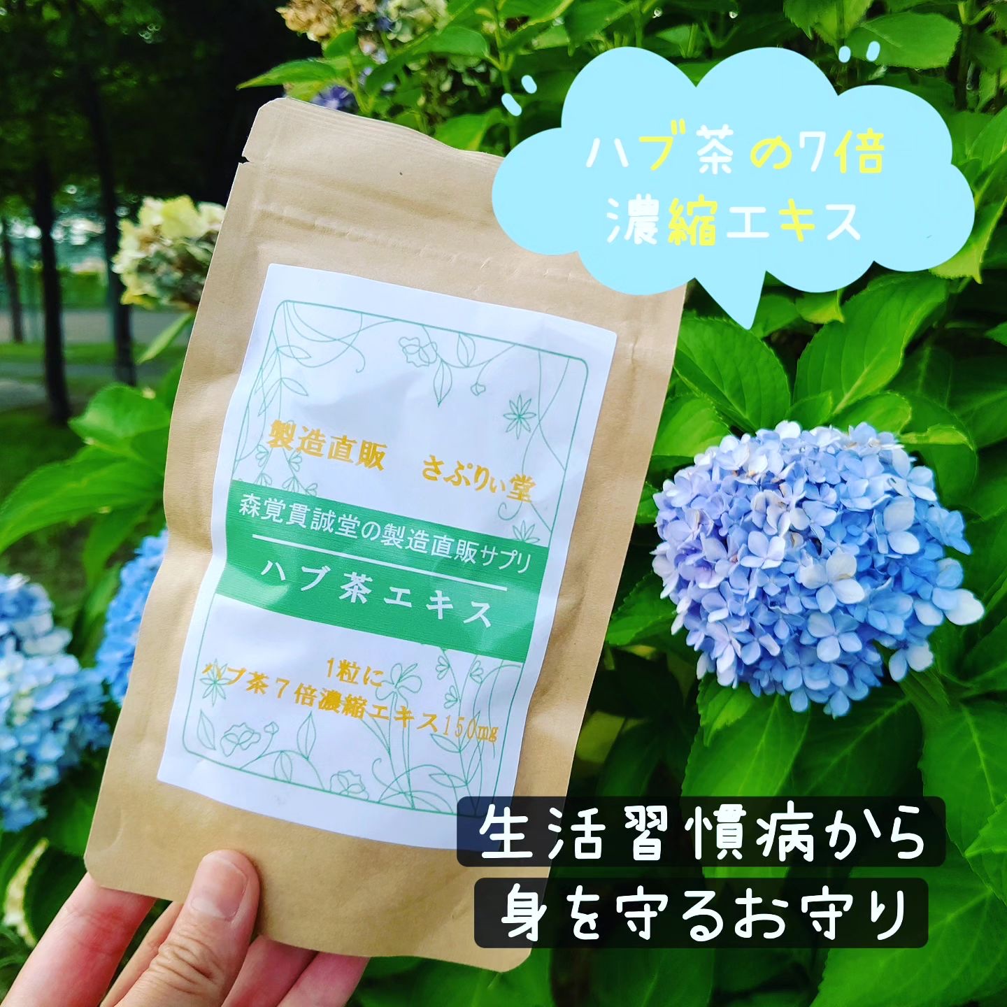 ハブ茶エキス錠 /森覚貫誠堂/健康サプリメントを使ったクチコミ（1枚目）