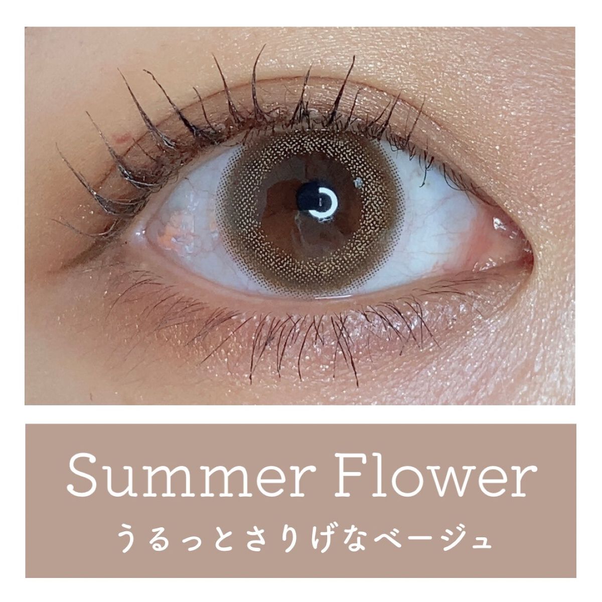 エバーカラーワンデーニコリ/エバーカラー/ワンデー（１DAY）カラコンを使ったクチコミ（2枚目）