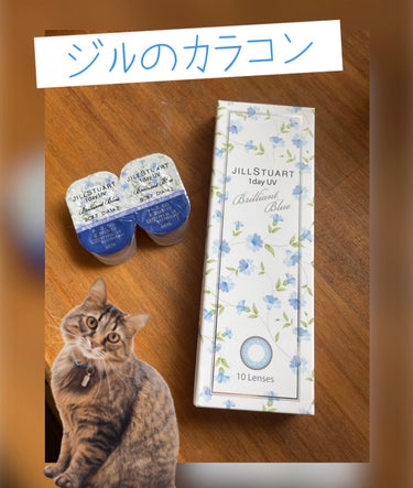 【ｵﾊｷﾞ〜s  ｶﾗｺﾝ👁👁ﾚﾎﾟ‼️】



ｼﾞﾙｽﾁｭｱｰﾄの1day UV
　
💙🩵ﾌﾞﾘﾘｱﾝﾄﾌﾞﾙｰ🩵💙



付けた瞬間、ｵｯ‼️青いじゃないのｫ〜‼️😁🖐️
って、内なるｵﾁﾞｻﾝが