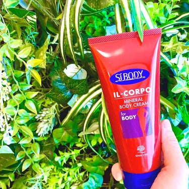 イルコルポ ミネラルボディクリームのクチコミ「🌿✨🌿✨🌿

Si BODY
IL-CORPO
MINERAL BODY CREAM

容量:.....」（1枚目）