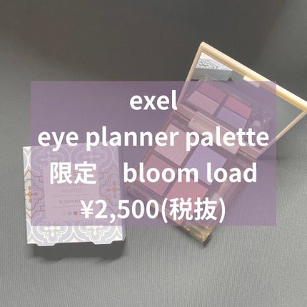 アイプランナーパレット/excel/アイシャドウパレットを使ったクチコミ(1枚目)