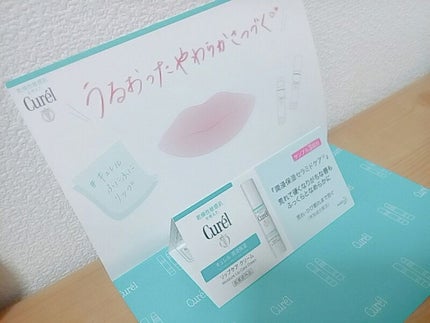 リップケア クリーム/キュレル/リップクリームを使ったクチコミ(1枚目)