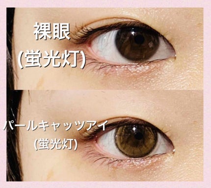 TOPARDS 1day/TOPARDS/ワンデー(1DAY)カラコンを使ったクチコミ(3枚目)