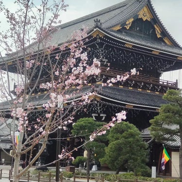ひろちゃん on LIPS 「東本願寺今回の旅京都の街を観光しながら落ち着いた所最後の日にな..」（5枚目）