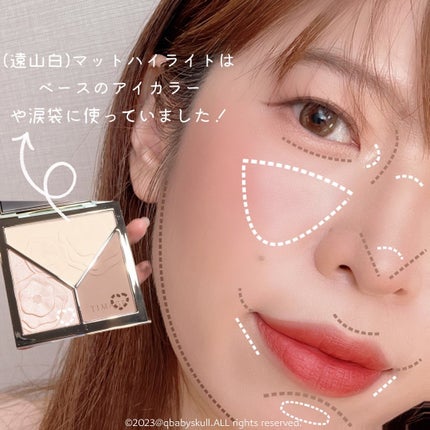 ハイライトシェーディングパレット/TIMAGE/パウダーハイライトを使ったクチコミ(9枚目)