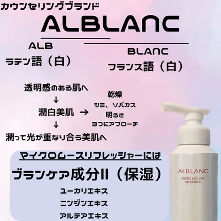 マイクロムース リフレッシャー/ALBLANC/泡洗顔を使ったクチコミ(6枚目)