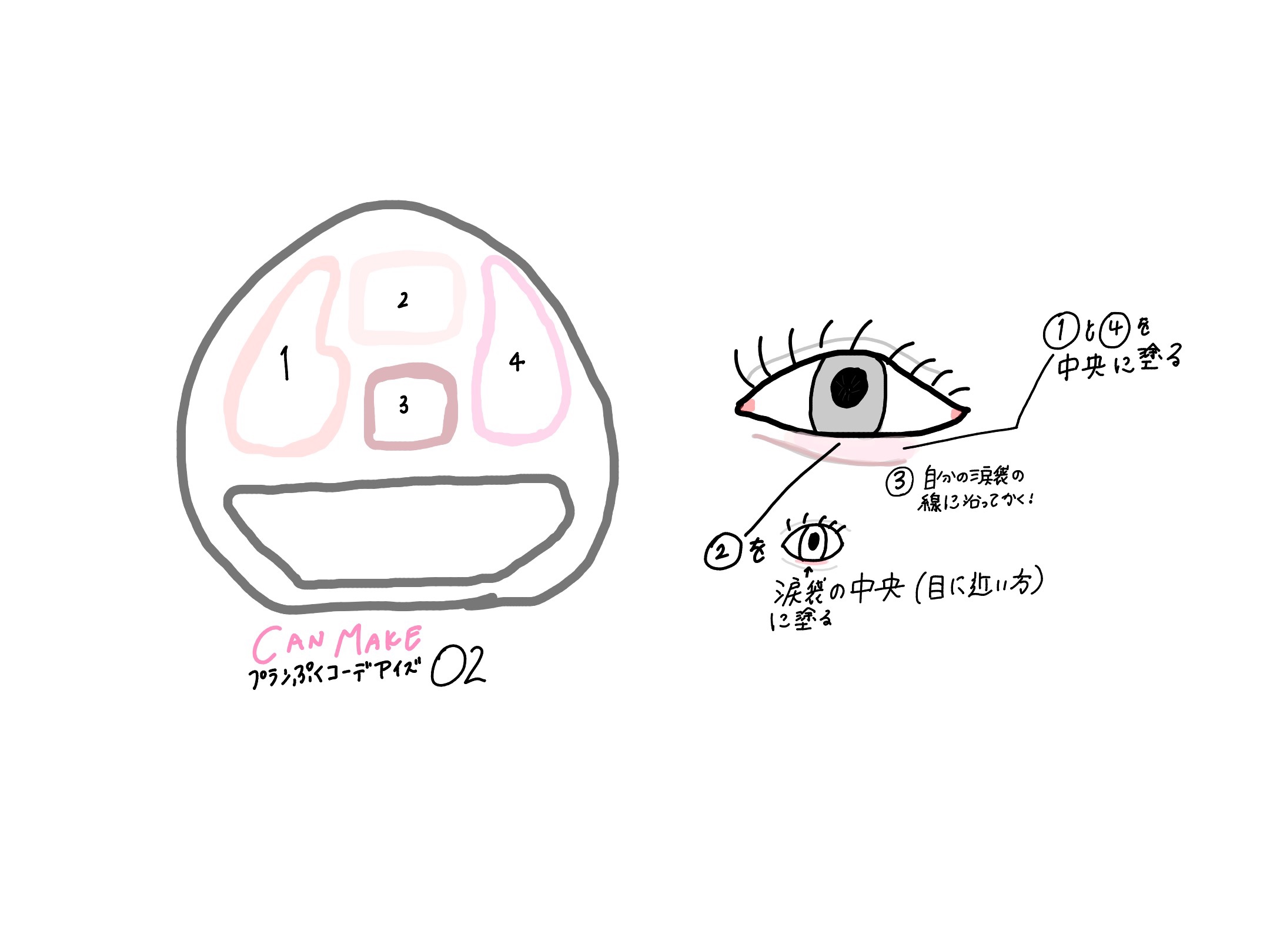 プランぷくコーデアイズ/キャンメイク/パウダーアイシャドウを使ったクチコミ（2枚目）