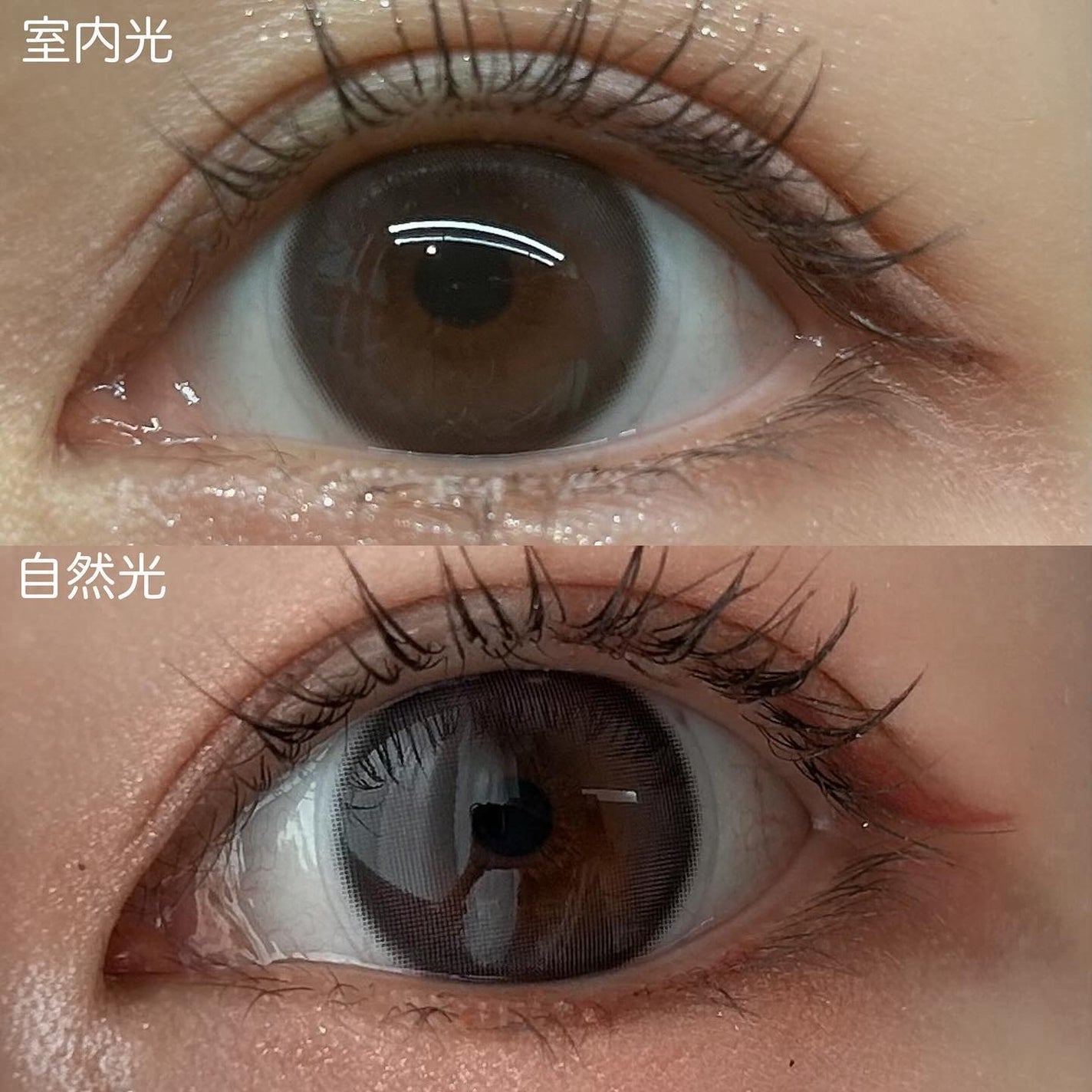 Tweed Kristin 1day/Hapa kristin/ワンデー(1DAY)カラコンを使ったクチコミ(3枚目)