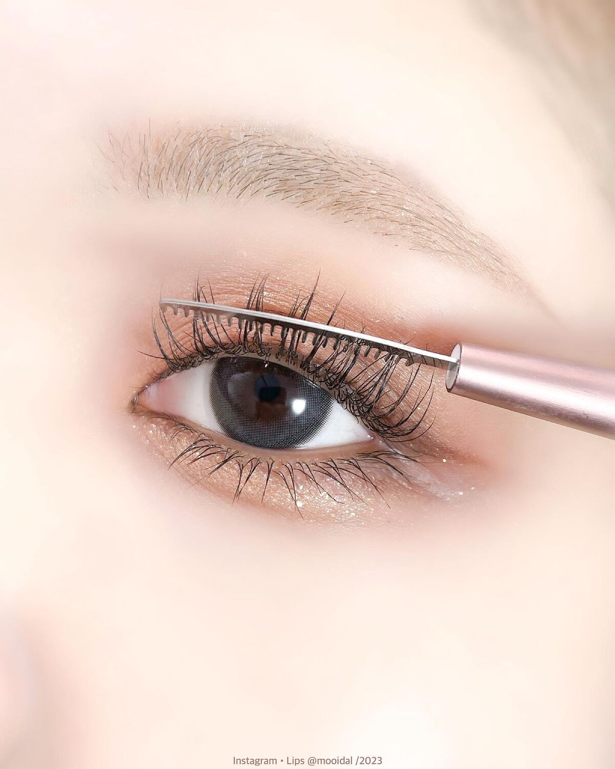 MDショールモーメント アイシャドウパレット/mude/アイシャドウパレットを使ったクチコミ(7枚目)