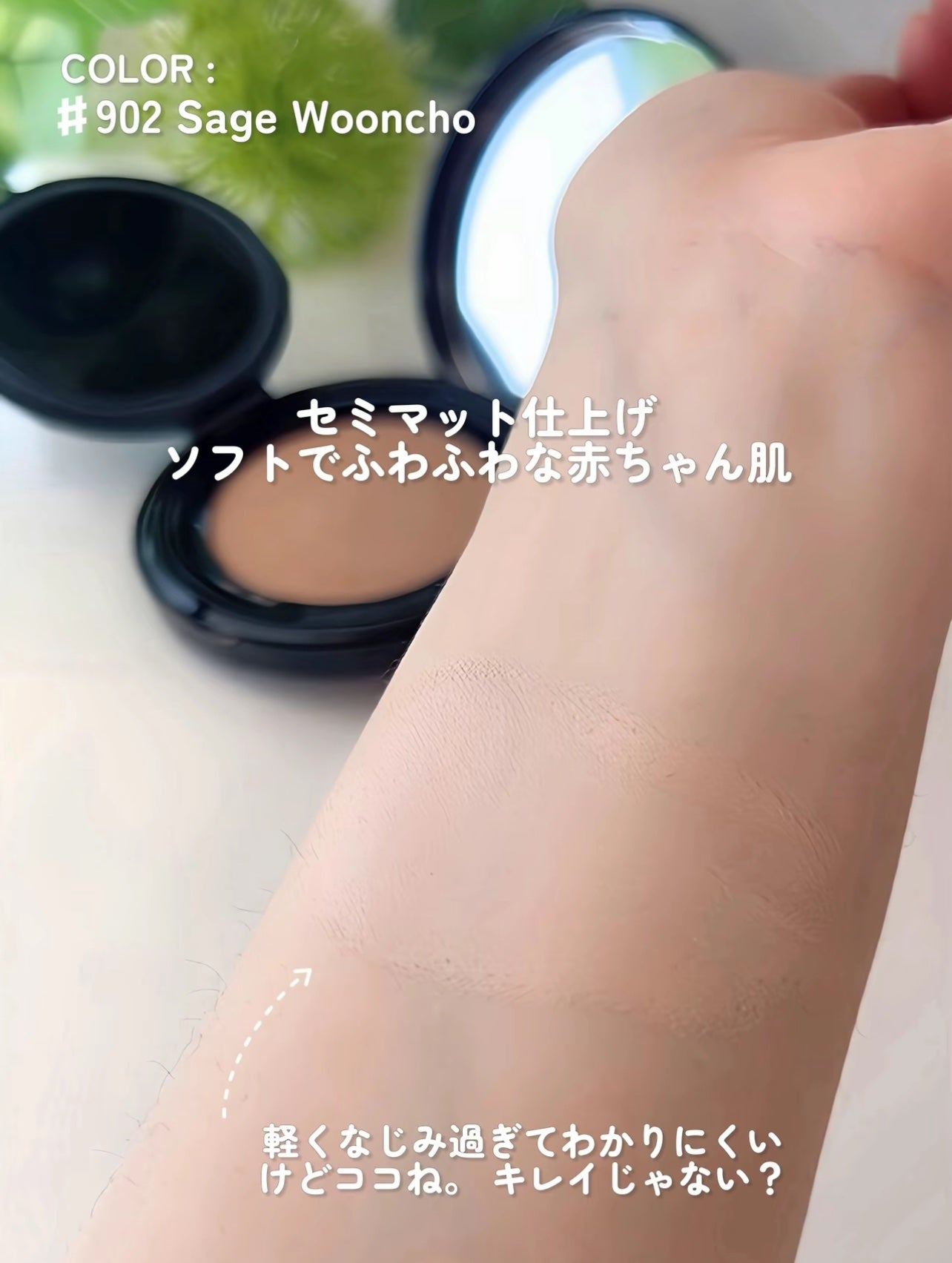 ブラーフィニッシュ雲楚クッション/Dinto/クッションファンデーションを使ったクチコミ(4枚目)