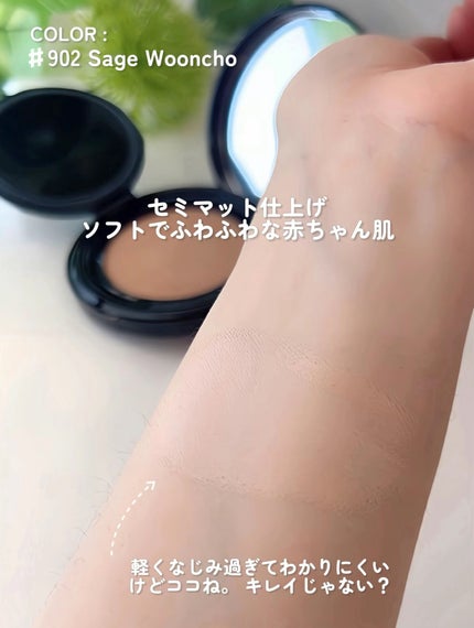 ブラーフィニッシュ雲楚クッション/Dinto/クッションファンデーションを使ったクチコミ(4枚目)