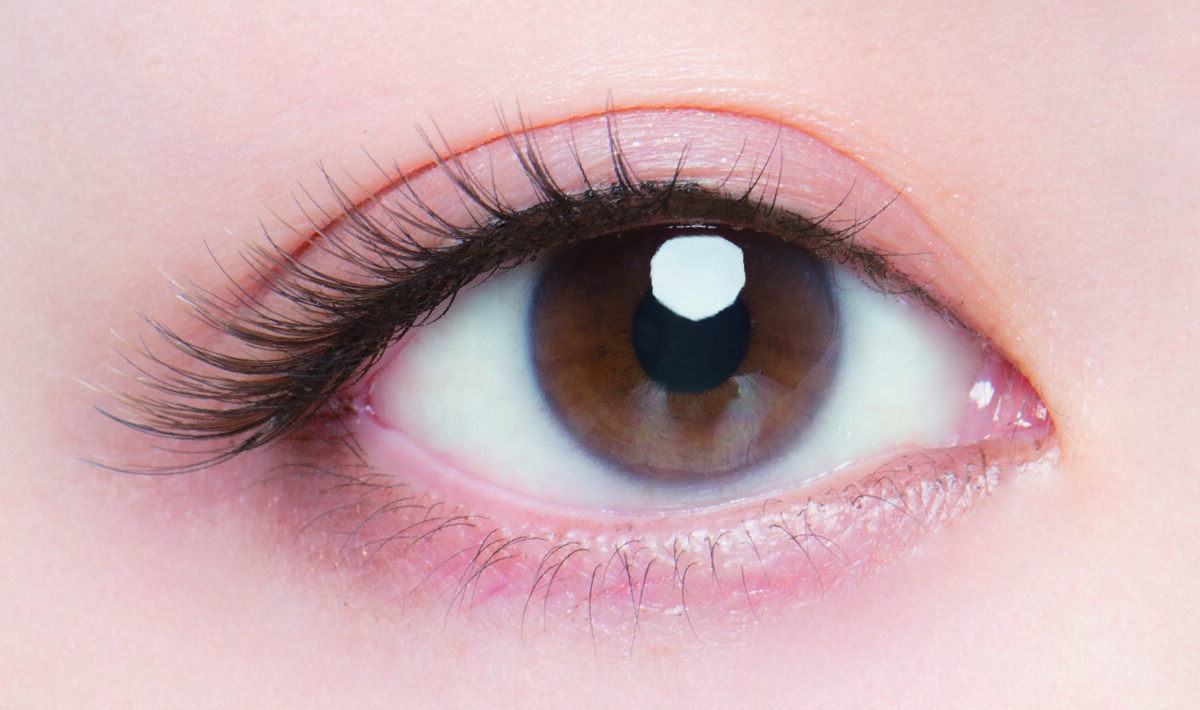 ドーリーウインク サロンアイラッシュ 13 大人ダークブラウンなヒョウ