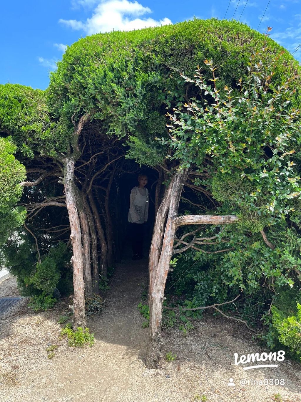 りな on LIPS 「八幡浜市にある王子の森公園行ってきたよ!!
木のトンネル!!
..」(7枚目)