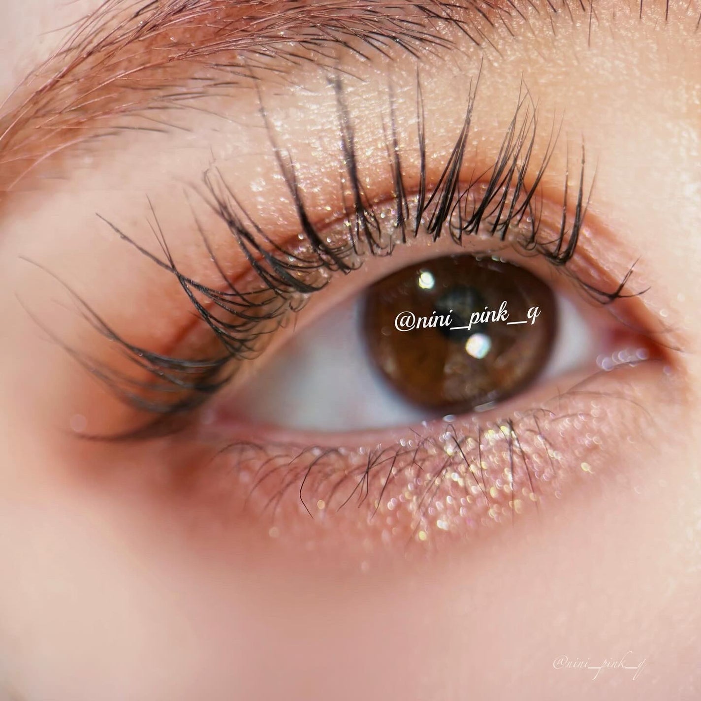 ドリームベルベットアイシャドウパレット/DEAR DAHLIA/アイシャドウパレットを使ったクチコミ(6枚目)