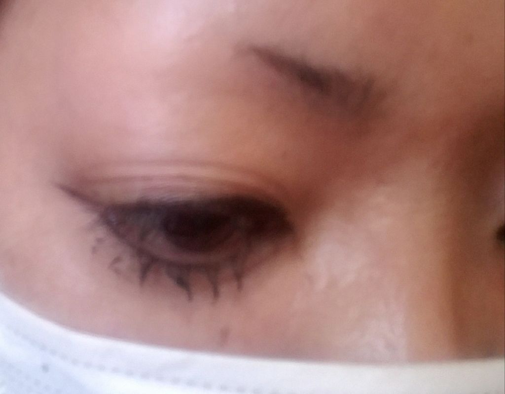 DAISO アニマルアイブロウマスカラのクチコミ「ダイソーのアイブロウマスカラのご紹介です(*^^)v

私は髪色が明るい方なので、ライトブラウ.....」（3枚目）