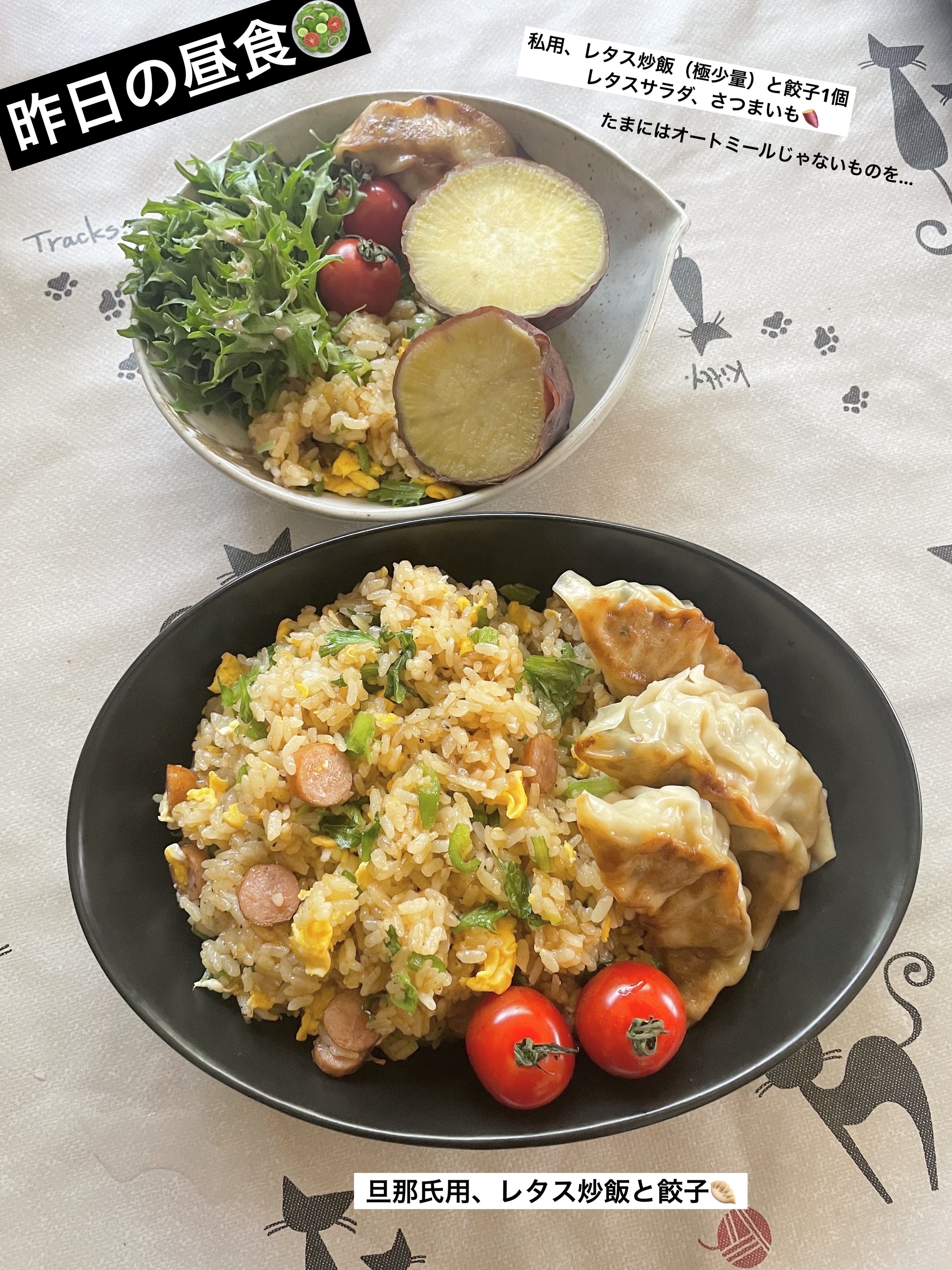 グロウフルールチークス（ブレンドタイプ）/キャンメイク/パウダーチークを使ったクチコミ（2枚目）