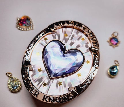 FlowerKnows サーカスシリーズ グラデーションブラッシュ のクチコミ「〈フラワーノーズサーカスシリーズグラデーションブラッシュ〉02
昨日ドンキで買った戦利品です🎪.....」(1枚目)