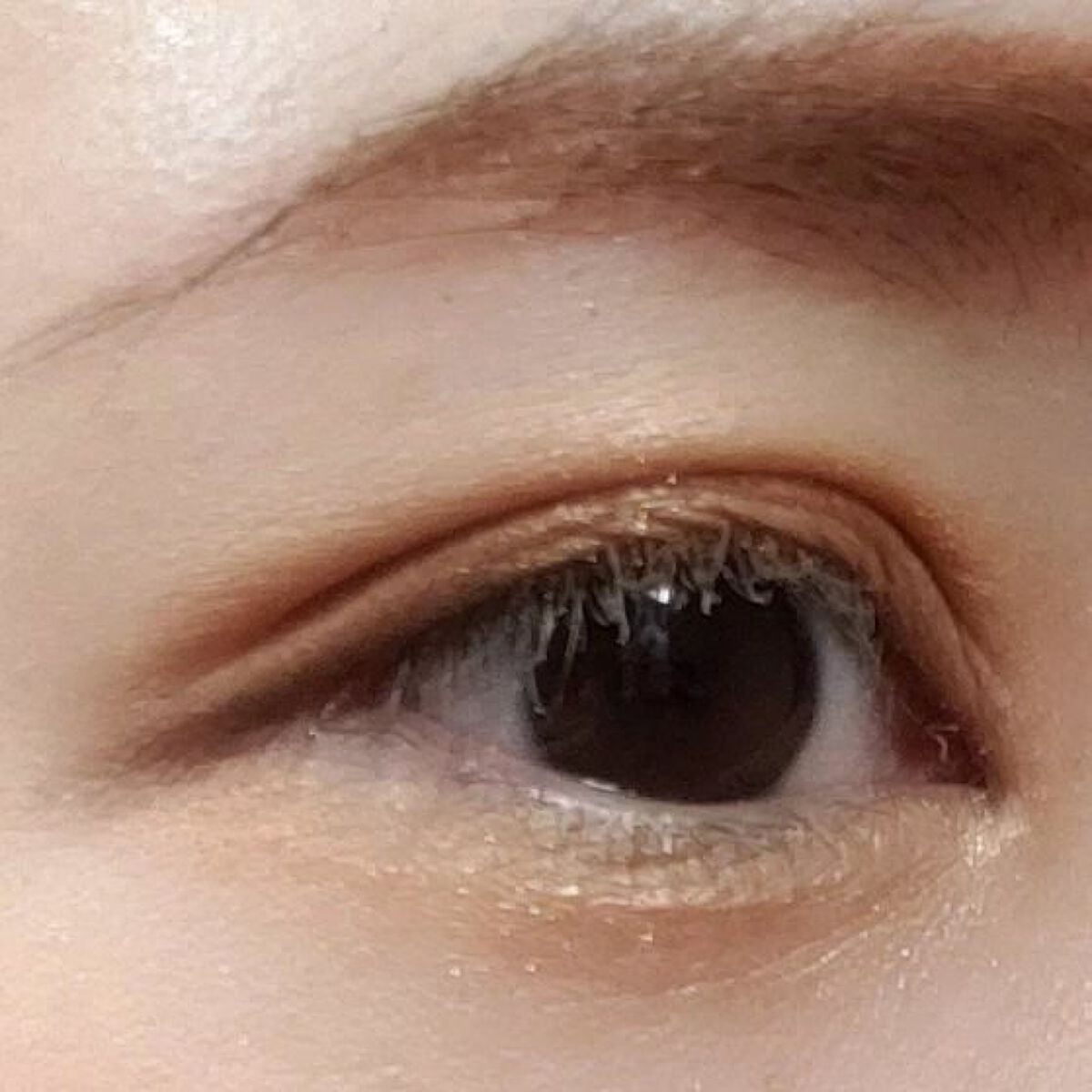 アイカラーレーション EX21 Serval Cat（限定発売）/LUNASOL/アイシャドウパレットを使ったクチコミ（1枚目）