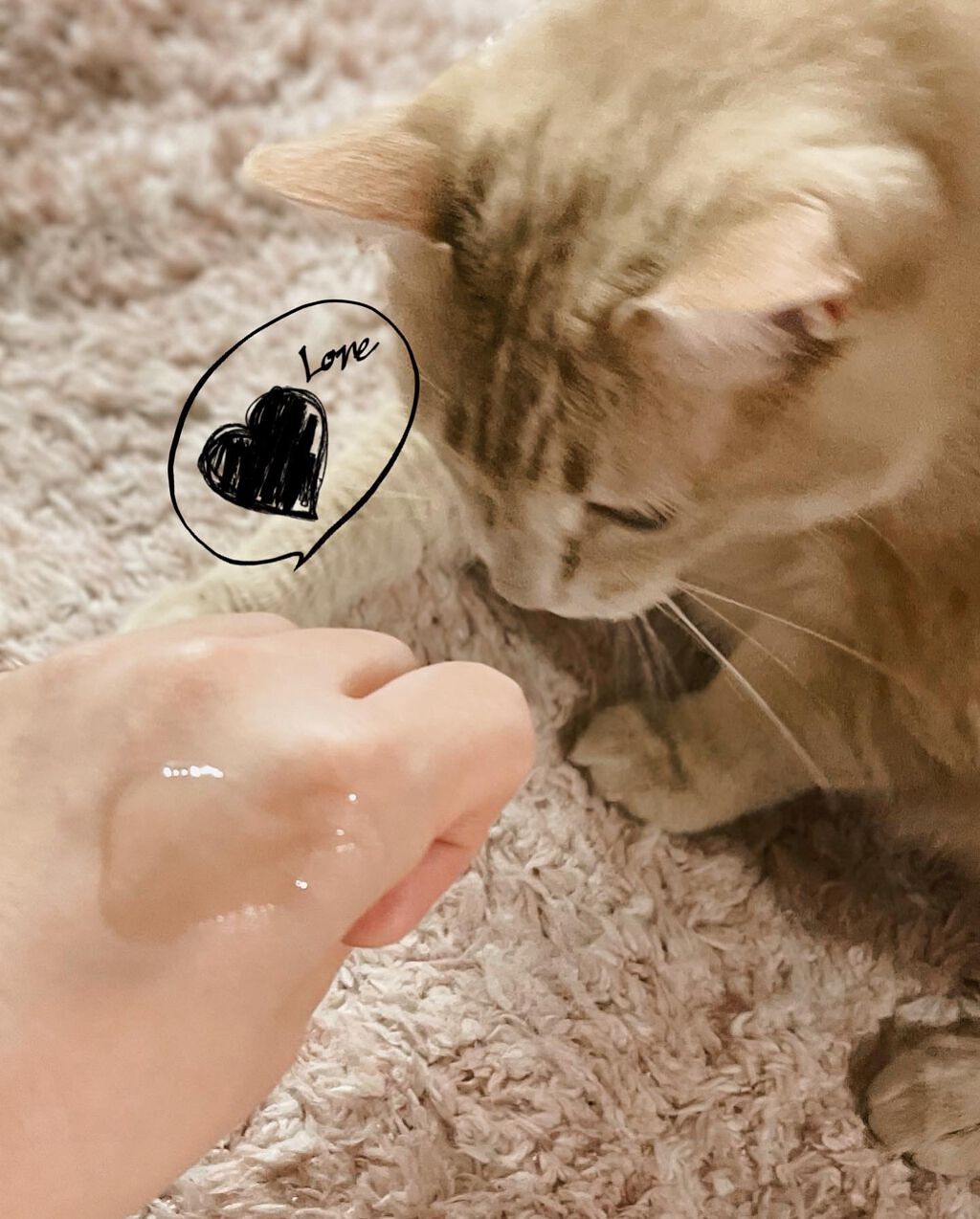 ハイドロ エッセンスローション/BAUM/化粧水を使ったクチコミ（2枚目）