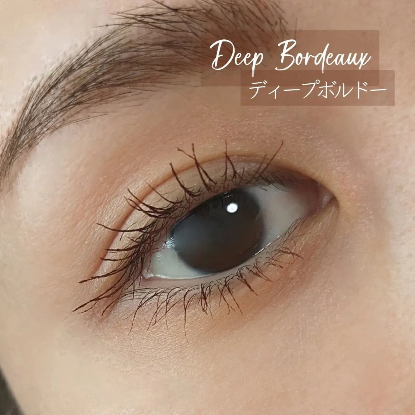 ビューティーアップマスカラ/PHOEBE BEAUTY UP/マスカラを使ったクチコミ(6枚目)