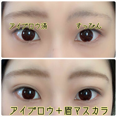 アイブロウパウダーの使い方とは 眉メイクのコツからよくある悩みの解決法まで徹底解説 Lips