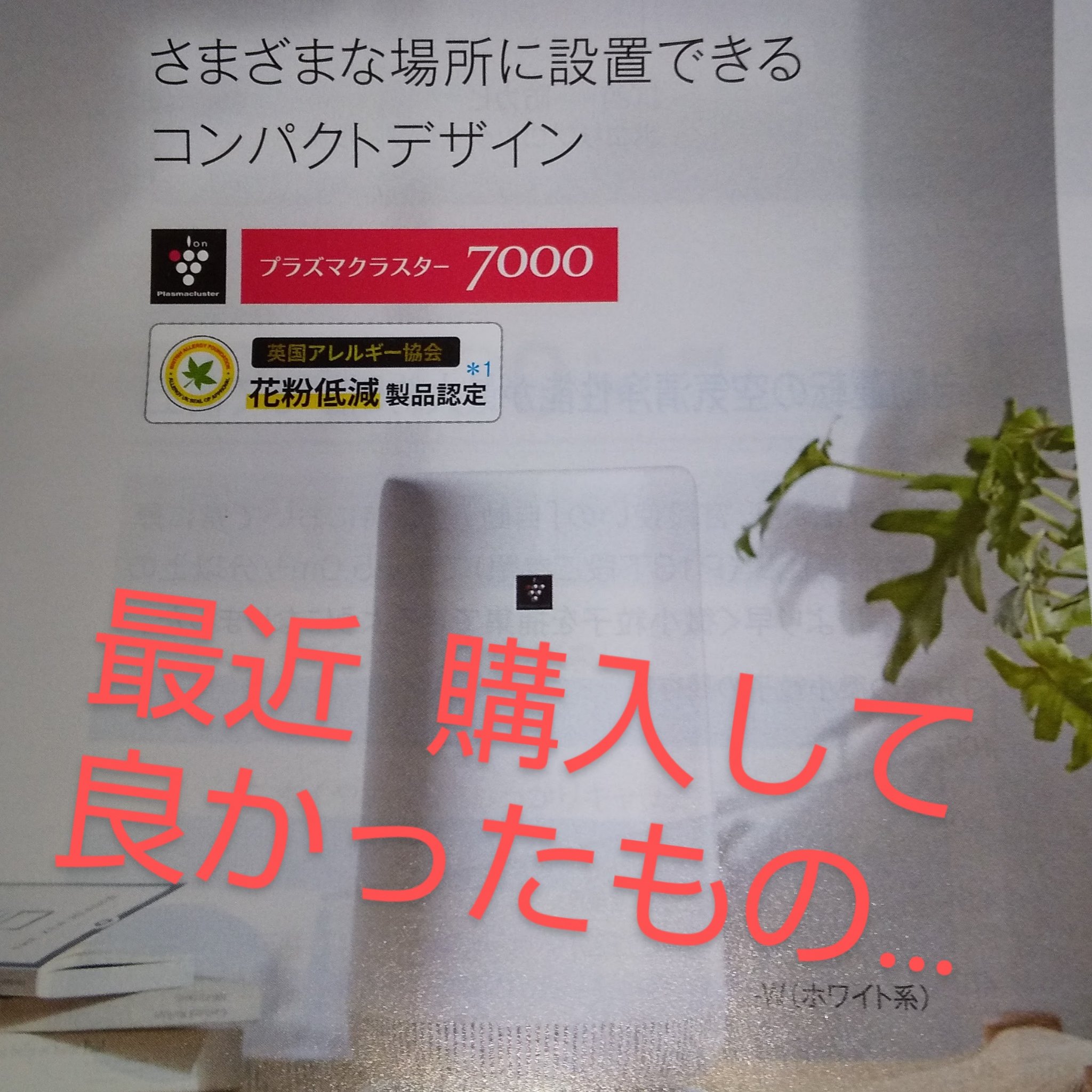 空気清浄機/シャープ/その他を使ったクチコミ（1枚目）