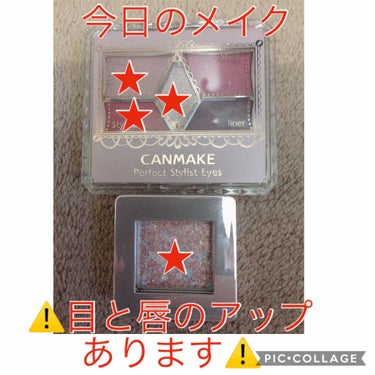 【旧品】パーフェクトスタイリストアイズ/キャンメイク/アイシャドウパレットを使ったクチコミ（1枚目）