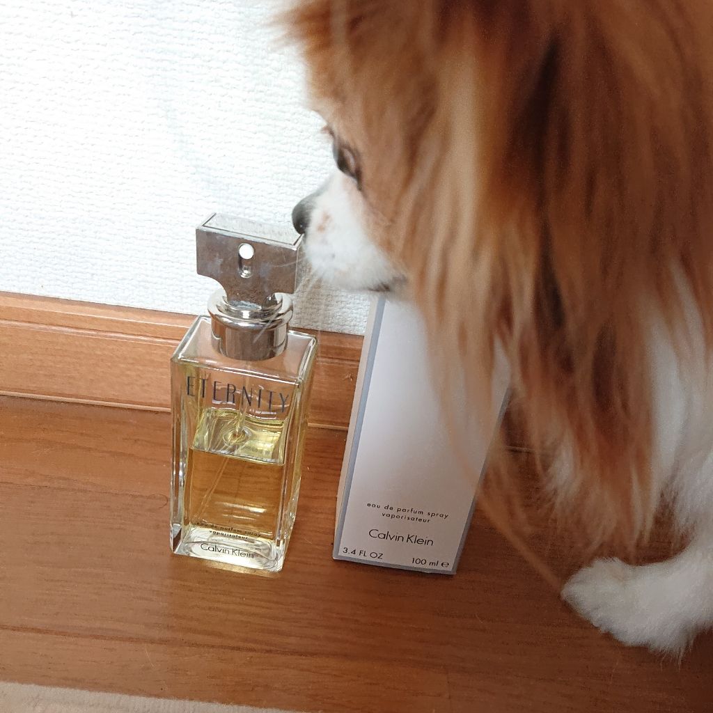 Calvin Kleinいり 可愛い香水