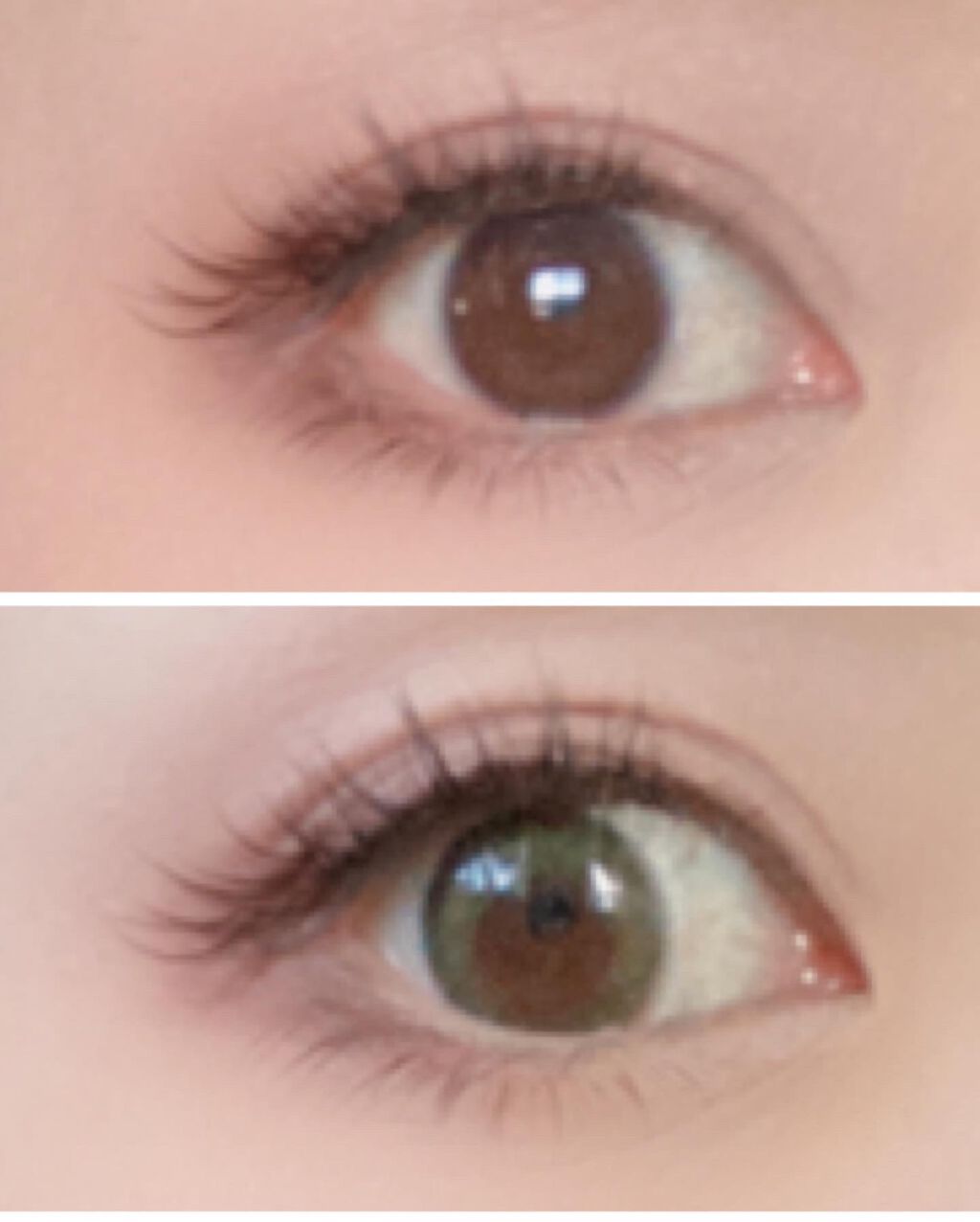 TOPARDS 1day/TOPARDS/ワンデー(1DAY)カラコンを使ったクチコミ(5枚目)