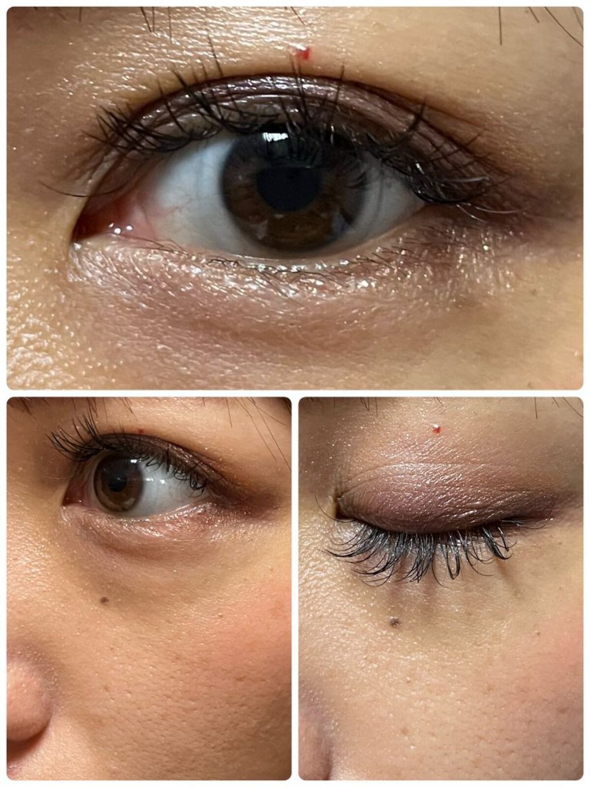 スモール アイシャドウ シェイディ サンタ/M・A・C/単色アイシャドウを使ったクチコミ（3枚目）