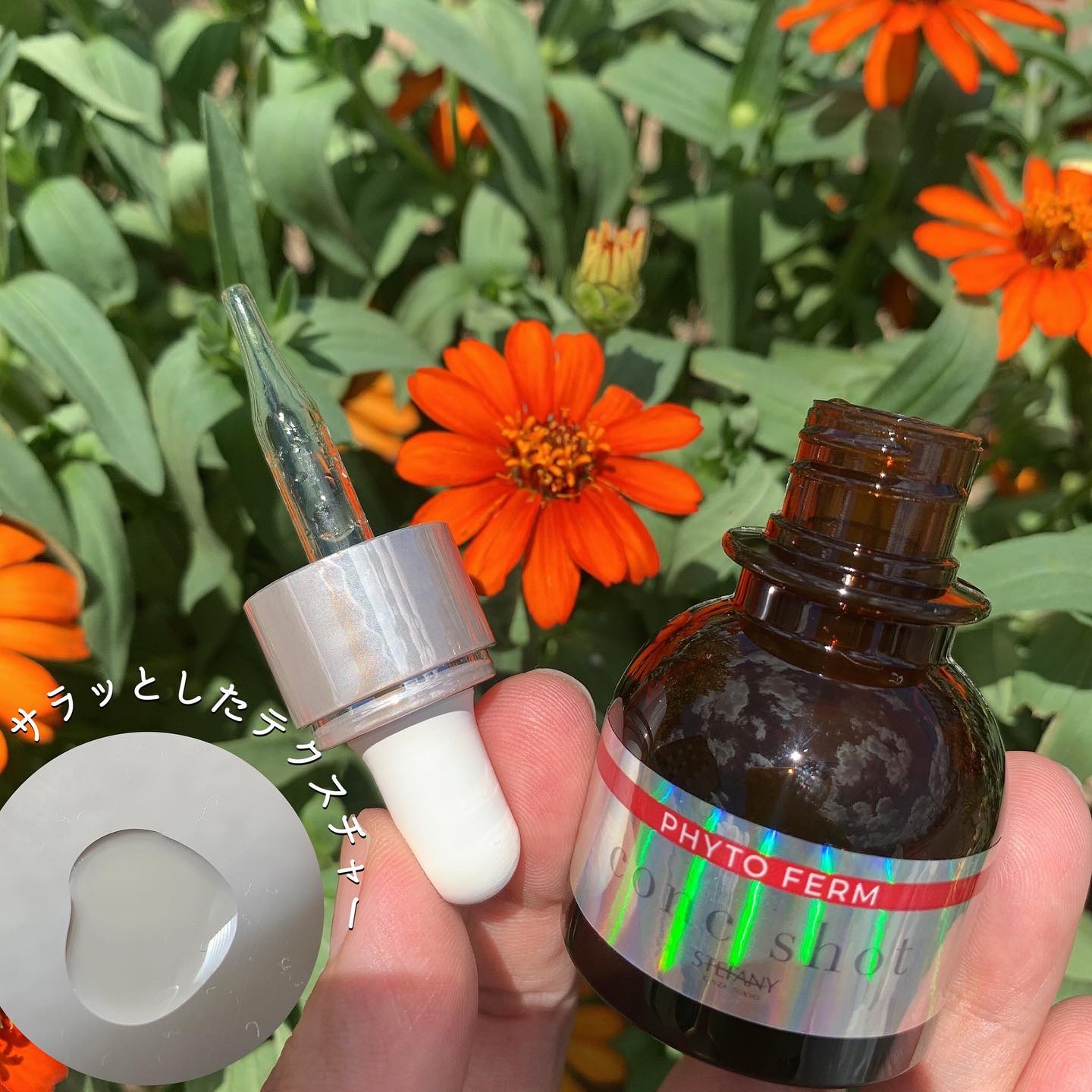 銀座ステファニー化粧品ピュアエッセンス限定3&メイククリアジェル限定