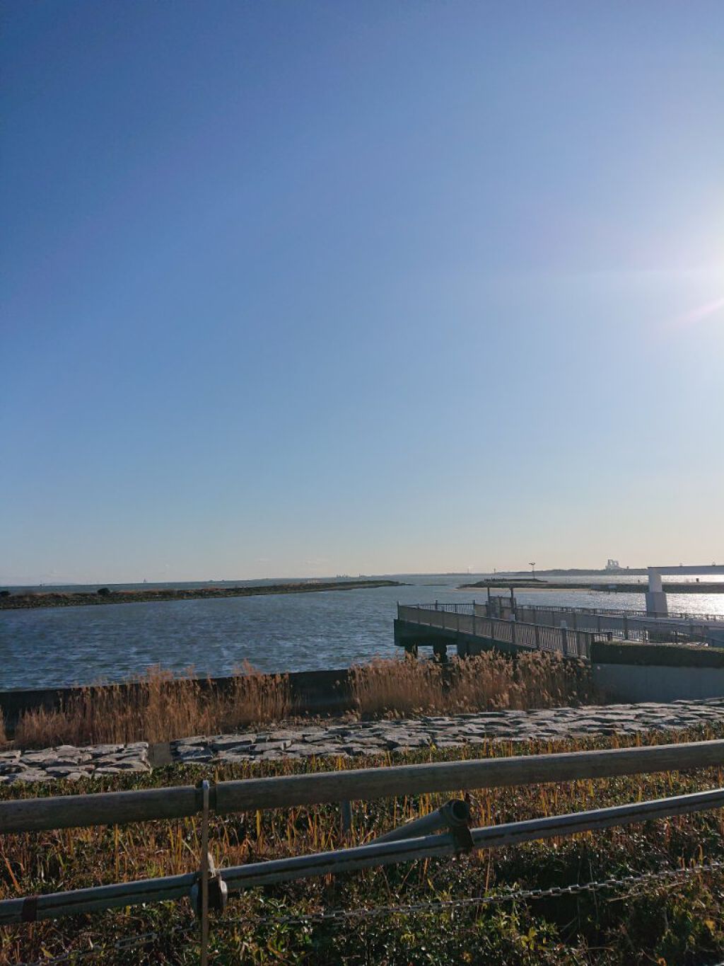 にゃーにゃ一団 on LIPS 「こんばんは😃🌃今さっき帰宅🏠👣しました🎀💎今日も午後から親達と..」(1枚目)